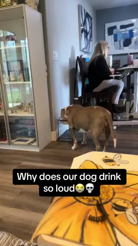 Imagine hearing that in the back of your meeting🤣 #Pubity (Jessica Vercelli via ViralHog)