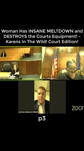 Woman Has INSANE MELTDOWN and DESTROYS the Courts Equipment! - Karens In The Wild! Court Edition!