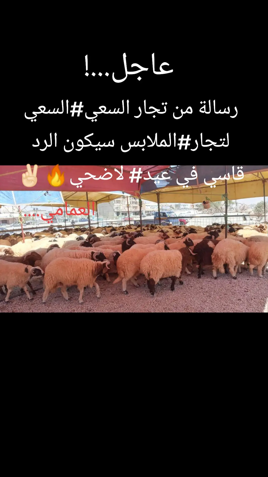 #العمامي_لبيع_المواشي_والاعلاف_ #والمواد_الاغذائية_بنغازي_زليتن_طرابلس 