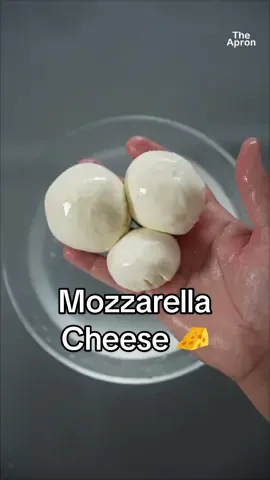 Easy homemade mozzarella cheese!!! Making mozzarella at home is easy but without rennet it's just fake, it's not real mozzarella. Rennet gives enough strength to create a cheese with a texture like mozzarella. I tried twice without rennet but it doesn't work, it's just like ricotta cheese, not real mozzarella. so,Let's make delicious homemade mozzarella cheese at home.  1- Pour the milk in to the pot and slowly add white vinegar.  2-Heat the milk to 46 degree Celsius and once it hits 46 remove from the heat.  3- Mix the rennet with water, and then add into the pot of milk.  4-Mix well, making sure to get it all the way to the bottom of the pot. 5-Stir the milk and cover with led. Allow it to sit for 15 minutes.  6- Separate the curds from whey. Press out any excess whey with your hands. Continue pressing until all the of the whey is out of the cheese. 7-Once the ball of cheese forms and the whey is pressed out, dip the cheese back into hot water (65 to 70 degree Celsius ) and stretch it. (You could also heat it up in a microwave for 30 second each time. 8-Continuing to do this until the cheese becomes firm and shiny.  9- Roll into balls and use it right away or store for later. you can get rennet from super market or Amazon /ebay. #mozzarellacheese #homemademozzarella #freshmozzarella #cheese #homemademozzarellacheeserecipe #howtomake #howtomakecheese #howtomakemozzarella #italiancheese #fyp #foryou #fypシ #foryoupage #theapron #theapron41 @samipathak2 @pragatisubedi53 @santoshpathakjp
