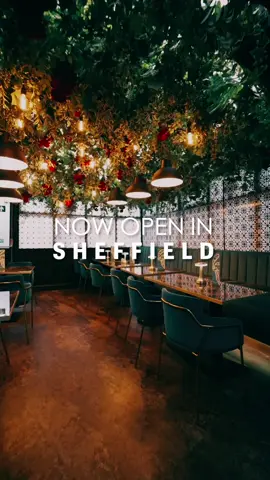 #Sheffield Now Open 💚 #chaigreen #restaurantinterior #sheffieldfood #sheffieldunited #indianstreetfood #halalrestaurant #halalrestaurants 