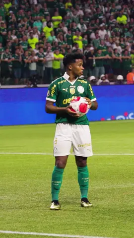 ☃️❄️🥶 A FRIEZA DE #ENDRICK 🥶❄️☃️ #TikTokEsportes #Palmeiras