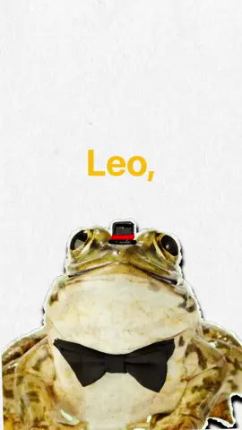 I told you a lie. Substitute the frog with weeks and weeks of confusion and not really knowing what you want to do with life aaand we’re good to go🐸 Breakthroughs don’t happen overnight, they take allloooot of time to be internally processed so don’t judge yourself for being sad or confused. Live in the moment, live it!❤️ Keep following your personal legend!!! Yours,Leo🫶