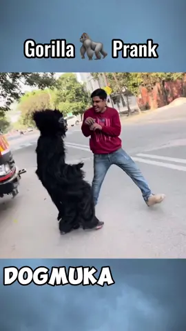 Gorilla Prank #fyp #funnyvideos #funny #funnymoments #usa🇺🇸 #pranks 