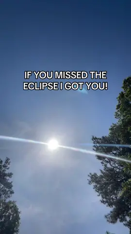 4K recording of the eclipse if you missed!⚡️ #solareclipse #savannahbananas #baseball #MLB #eclipse 
