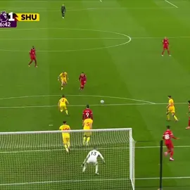 الدكتور 🖤🖤#mac_allister #ماك_اليستر #liverpool #ليفربول #PremierLeague #fyp #foryou 