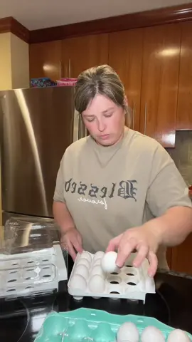 #ttsacl #fyppp #fypage #fyppppppppppppppppppppppp #fypシ #trends #trending #fypシ゚viral #contentcreators #blowthisuptiktok #blowthisup #fyp #fypp #relatable #kitchengadgets #kitchenorganization #fridgeorganization 