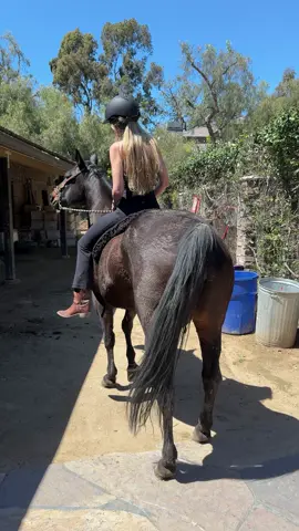 Best feeling #eclipse #solareclipse #fyp #modeling #california #foryoupage #to #jojosiwa #vivamexico #parati #paratii #tiktokrizzparty #horsegirl 