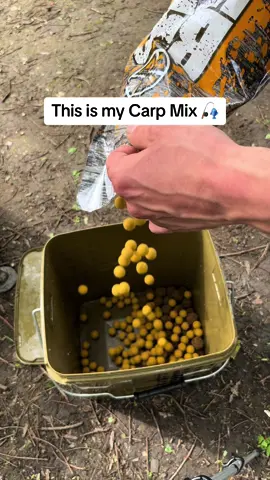 This is how to make a Carp Fishing Mix to Catch More Fish! 😱🎣 #fyp #foryou #foryoupage #fishing #fishinglife #fishtok #angler #carpfishing #nayzofishing #viral 