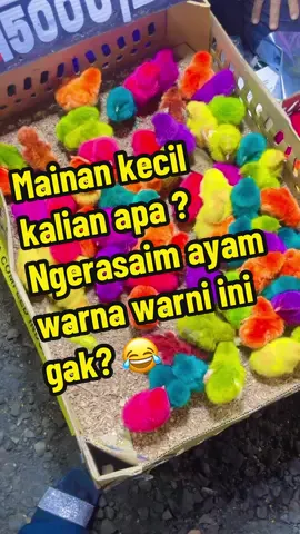 #fyp #masakecil #ayamwarnawarni #mainankecil #kecil #gemes 