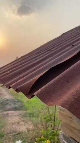 #ธรรมชาติบ้านนอก #วิวบ้านนอก🍃 #เธรดเพลง 