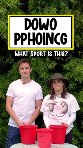 What Sport Is This?