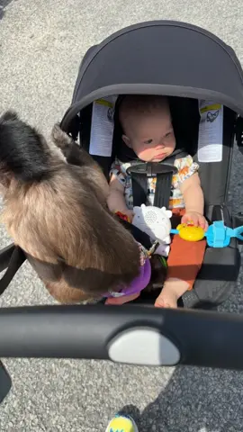 Lets go shopping #gardening #plants #shoppinghaul #shopping #babyboy #monkey #gaitlynrae 