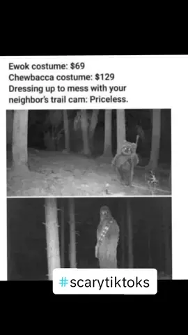 The moment he checked the cameras...... #fy #starwars #scarystories #scary #funny #cameracontrol #wood  #neighbors 