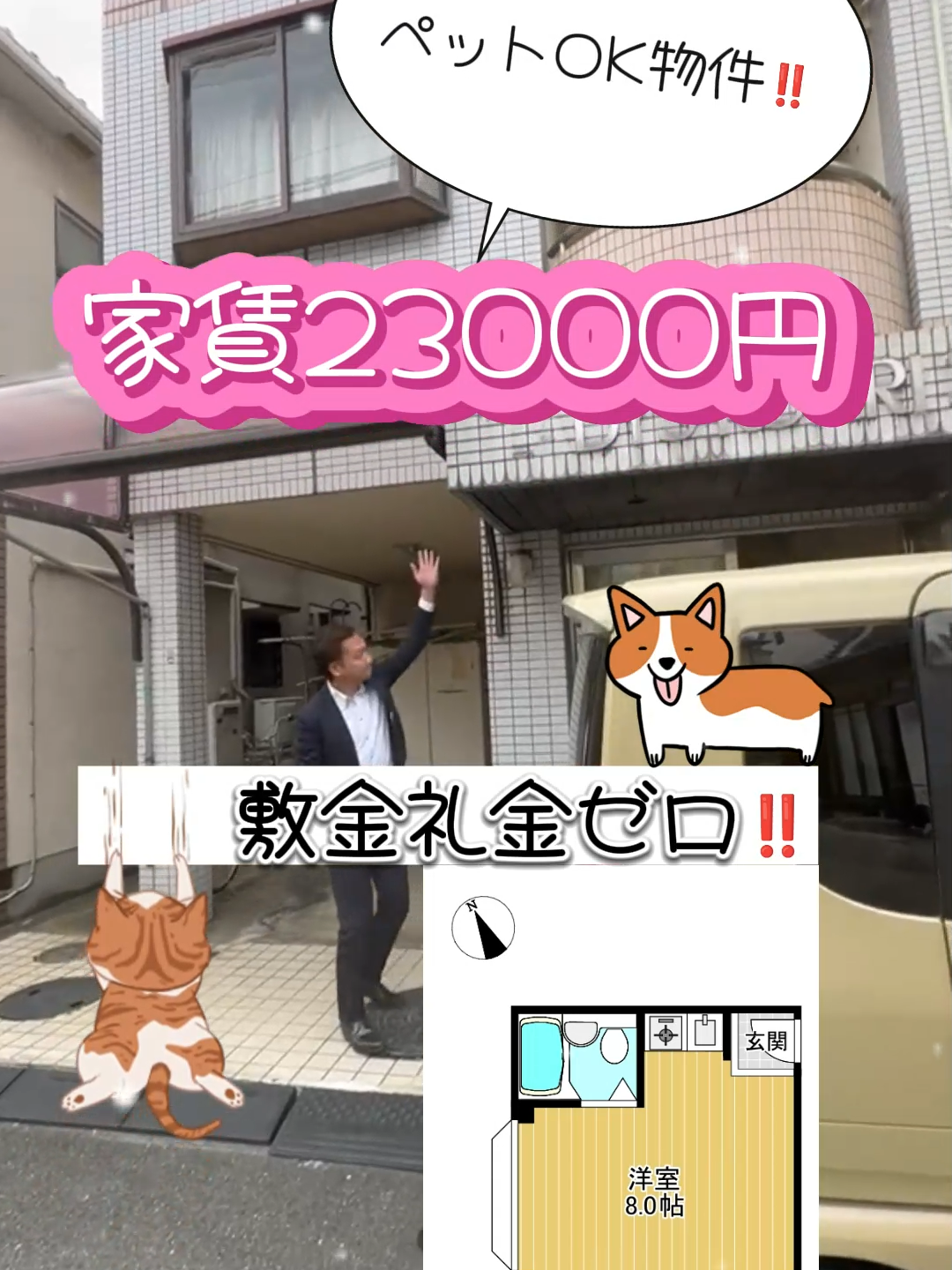 仲介手数料無料 寝屋川市寿町 京阪本線香里園駅 徒歩7分 ワンルーム 家賃23000円 敷金礼金ゼロ ペットOK 住環境良好 フローリング #寝屋川#香里園#寝屋川暮らし#寝屋川移住計画#寝屋川賃貸#賃貸#仲介#賃貸マンション#賃貸貸家#貸家#賃貸仲介#1R#ワンルーム#ペット飼育可#ペットOK#犬と暮らす#猫と暮らす#二面採光#寝屋川不動産#枚方不動産#門真不動産#東大阪不動産#ハルソラ不動産#仲介手数料無料