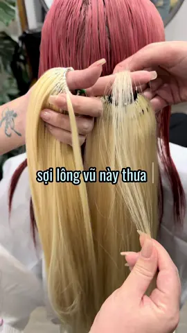 Nhiều bạn ib hỏi #sợilôngvũ9d công nghệ mới nhất hiện nay - nên mình lại tiếp tục làm thêm clip để các bạn cùng tham khảo nhé😍👋 So sánh tóc lông vũ sợi 9D mới ra và sợi lông vũ bản cũ : Bộ tóc nối xong có 200sợi mà nhìn dày dặn và óng mượt hơn hẳn bản cũ luôn🥰 . Công nghệ nối tóc lông vũ sợi 9d mối nối siêu mịn , sợi dày và đều ko bị bật tóc con - chống rối cực đỉnh luôn😍💯#NốitóclôngvũSợi9D #Bộtóc55cm #Siêumịn #Siêunhẹ #Siêunhanh #Siêutiếtkiệm #Haircut& #ColorbyTranThanhHieu #SalonHieuHairSố78NgôSĩLiên( ngay đầu ngõ Phổ Giác - nhà số2 ) #Hotline0878889889 @Salon Hieuhair @Thuỷ Bé 