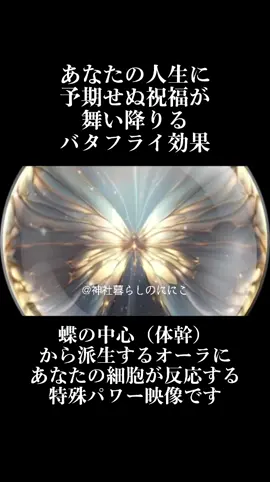#幸運 #祝福 #人生逆転 #予期せぬ幸運 #蝶 #バタフライ #butterfly 