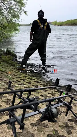 Who puts a rod in the margin? 🎣 #fyp #foryou #foryoupage #fishing #fishinglife #fishtok #angler #carpfishing #nayzofishing #viral 