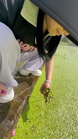 #tiktok #foryourpage #satisfying #applesnail 
