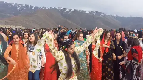 #halparke #kurdish #dance #hawrami #dawat 
