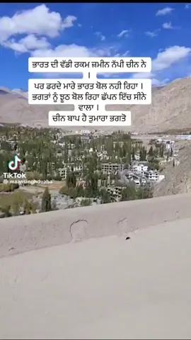Indian army 🤣🤣🤣 #fly#flying #foryourpage #foryou #indiavschina #indian #indianarmy #hindu #hindustan #hindurashtra 