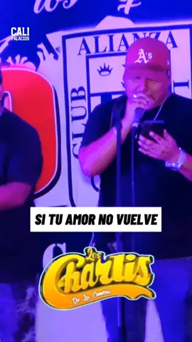 Si tu amor no vuelve @Los Charlis de la cumbia 💎 #loscharlisdelacumbia #situamornovuelve #Cumbia #bachata #musica  #pabloenriqueyroger #peru #xyzbca #greenscreenvideo #viral #loscharliesdelacumbia 