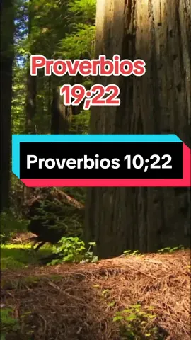 Proverbios 10;22 #caminobiblico #amen🙏 #Diosteama #refleccion #amor❤️ #yocreoenDios 