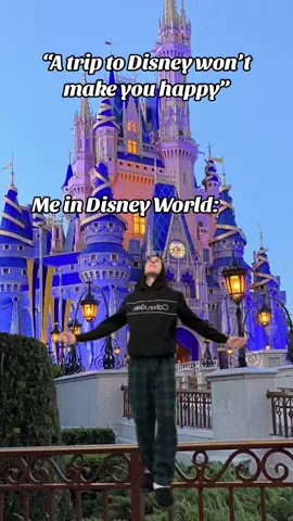 Anyone else? #disneyhacks #disneytravelagent #disneycontentcreator #disneytravelplanner #disneymom #disneytips #disneyworld #epcot #animalkingdom #disneyfoodies #MemeCut 