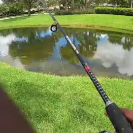Peacok Bass 🔥🎣 #hoodfishing #fishing 