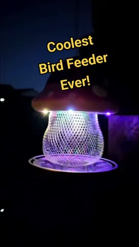 Want to feed the birds and squirrels? Check out this RGB and Solar #birdfeeder 😜 #birdfeeding #birdwatching #ad #squirrel #squirrels #squirrelsoftiktok #kidsgifts 