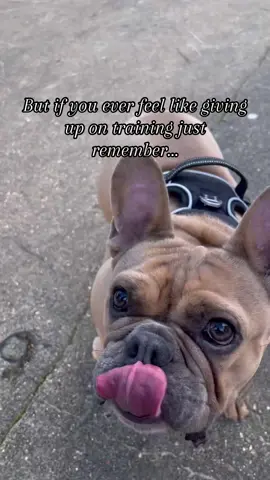 Training a frenchie 😅 #fyp #fypage #foryourpage #dog #frenchie #frenchbulldog #frenchies #frenchiesoftiktok #frenchiesofinstagram #dogsinstagram #dogsoftiktok #dogsoflondon #london #doglife #frenchielove #frenchiegram #dogslover #instafrenchie #petoftheday #frenchieoftheday #frenchielife #dogoftheday #postoftheday #viral 