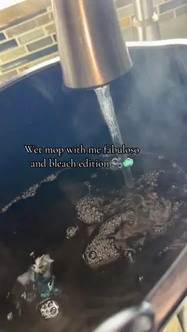 The water dump at the end 🤢 , mind you i mopped yesterday but this is the main entryway to the house so 🙂 #fyp #fypシ #moppingfloors #moppingasmr #wetmopping #ocedarspinmop #mrcleanspinmop #fabuloso #bleach #waterdump 
