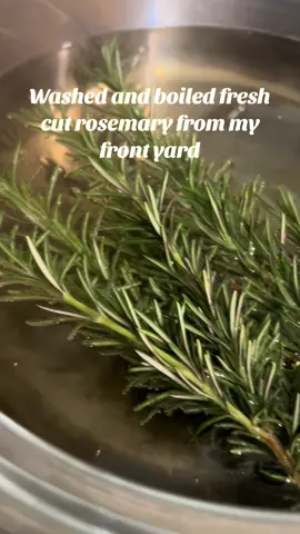 A little cold for my little baby #rosemary #earth #cold #vapor #healingtiktok 