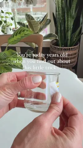 You’re going to want to save this easy plant diy! I love upcyling containers and giving them new life as propagation vessels!! This simple one knot plant hanger goes perfectly with Oui brand yogurt jars.  I used cotton craft cord-about 4 feet in length, but you can use any string or twine you prefer! It took me a few times of watching @sibster’s video to get the hang of it, but now that I know how to make these- I’m hooked!! I can’t wait to try it with different sized containers/planters. Would you try it?  . . . . . #plantdiy  #houseplantcaretips #plantcare  #plantmother #houseplantsofinstagram  #howtowaterplants #planttipsandtricks #crazyplantladyforlife #indoorplantcare #plantlovers #houseplantlove #planthack #plantgrowth  #pottedplants #urbanjungle #plantstyling #plantparenting #propagationvasehanger #propagation #propagationstation #propagationvase  Plant propagation vase hanger | Houseplant tips | houseplant ideas | houseplants for beginners | plant inspiration | plant decor |. Plant styling | easy plant diy