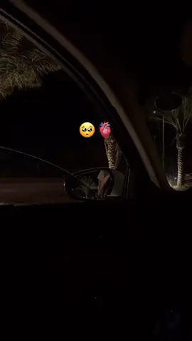 3ch9tah tallemenet🥺🫀#fyyy #fypシ゚viral #this_song