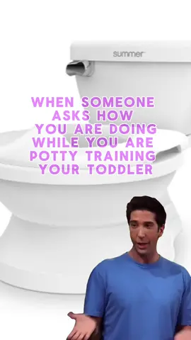Potty Training a toddler tests your insanity💩🚽🧻 #pottytraining #MomsofTikTok #toddlersoftiktok #mommemes #toddlermemes #toddlermom #toddler #Meme #MemeCut 