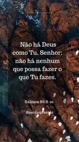Não há Deus maior, não há Deus melhor... #Deus #jesus #jesusteama #espiritosantoeuteamo   #cristaonotiktok #nectarpravida #hino #palavradedeus #biblianotiktok #mensagemdedeus 