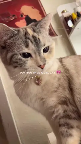 link in our bio or visit petalpaws.shop to get your furball their own necklace 🐾💗💕  cr jassy_love4 #prettycat #disneycat #girlcat #bonitacat #petnecklace #catnecklace #petaccessory #cutecat 