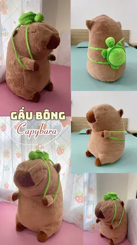 Gấu bông capybara xinh lắm nhe #LearnOnTikTok #thichdautay🍓 #vtvcab #muataitiktokshop #gaubongcapybara 