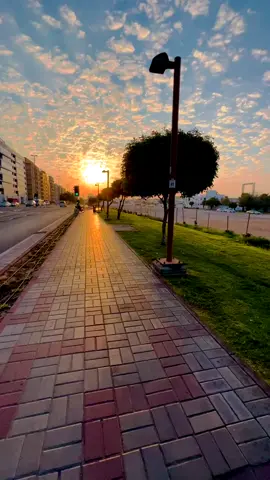 #naturaleza #paisajes #plantillas #fakebody #enalgunlugardelmundo #viralvideo #fypシ #happy #fyp 
