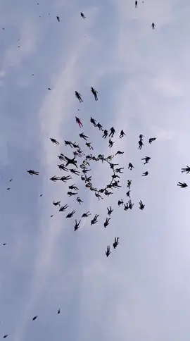 Welcome to Pochinki #wingsuit #parachute #pochiniki #pubg #wingsuitflying #redbull #skydiving #sports #sportsontiktok #fyp #foryou #trending #viral #fly #adventure 