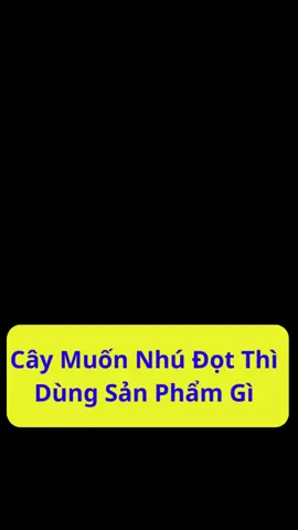 Bí quyết tạo đọt Sầu Riêng #phanbonlavietthai #làmvườn #sâurieng 
