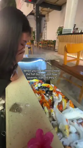 I was flabbergasted…#vietnam #koifish #fish