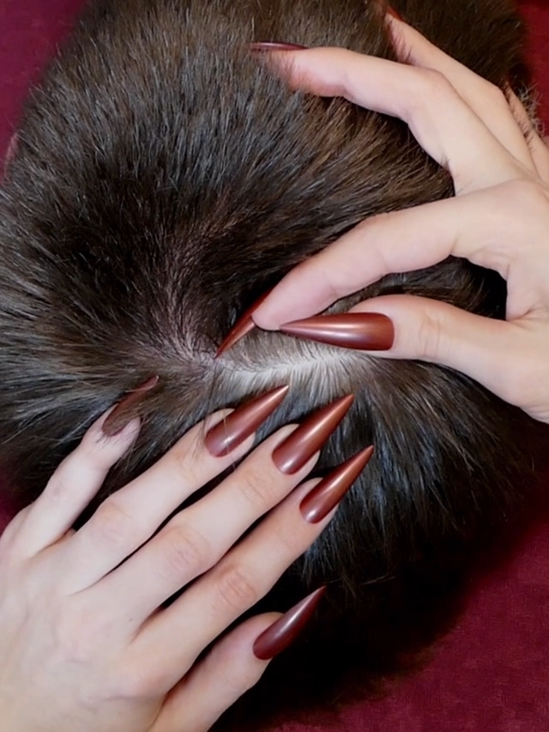 ASMR Relaxing SCALP Check & Nitpicking with NAILS | Hairplay, Scratching (Real Person) #asmr #asmrsounds #asmrvideo #asmrtiktoks #scalp #scalpcheck #asmrsensory #asmrroleplay #asmrmedical #asmrdoctorroleplay