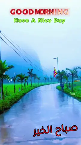 ഒരാളെ ഭ്രാന്തമായി പ്രണയിക്കുമ്പോൾ  അയ്യാൾ എന്റേത് മായിരിക്കണമെന്ന് ചിന്തിക്കാത്ത ആരുമുണ്ടാകില്ല.. aആഴത്തിൽ ഉള്ള ഇഷ്ടമാണെങ്കിൽ ഒരിക്കലെങ്കിലും അവർ പരസ്പരം പറഞ്ഞിരിക്കും,   നീ എന്റേതു മാത്രമാണെന്ന്.   Good Morning   Have A Nice Day 🌹#goodmorning #صباح_الخير #haveaniceday❤️❤️ #കണ്ണീർപൂവിന്റെ #nahrain #malayalamsongs #morningvibe #Love #bahrain #kerala#flute #flutemusic #mizhiyariyaathe 