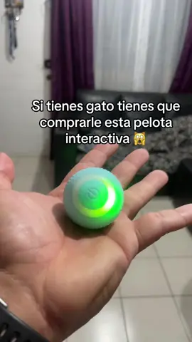 Es la mejor pelota 😻 #pets #gato #mascota #pelota #juguete #cat 