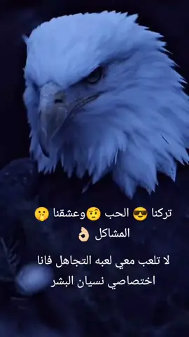 😎😎😎🦅🦅🦅🦅🦅😎😎😎🤨🤨🤨🤫🤫🤫🤫🤫🦅🦅🦅✌🏻🖤🖤🖤🖤