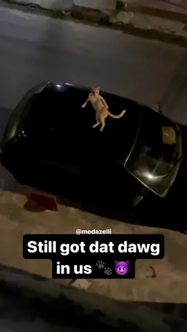 Shi tragic issa trap 💔 I told coco to stay wit his strap 💯