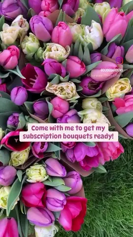 Come with me to wrap subscription bouquets! I find it a little weird that I really love this process. I find it really relaxing. Shout out to Ryan for washing the dirt off the stems before I wrapped them. He’s the real mvp because I do not find that part relaxing 🤪 So crazy that we are on week 3 of spring subscriptions! I definitely did not plan it this way! 😉 • • • #garden #gardener #mastergardener #gardenlove #gardening #iamyourgardener #howdoesyourgardengrow #gardeningforthesoul #gardenlife #farmher #gardengirl #flowerfarmer #flowerfarming #flowerfarm #cutflowers #cutflowergarden flowersofinstagram #flowertips #flowergarden #gardenflowers #freshflowers #farmfresh #farmfreshflowers #tulips #tulipseason