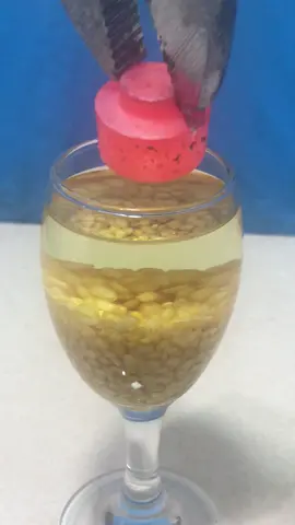 1000c hot ball vs oli vs green bean#hotballsversuseverything #foryou #satisfying #rhcb #silly #gato #experment 